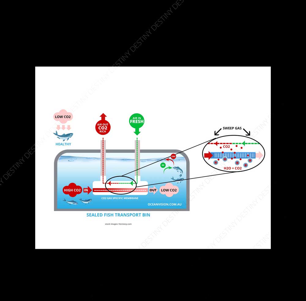 Infographic Design by DA. for this project | Design #28855836