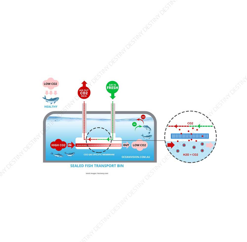 Diseño Infográfico por DA. para este proyecto | Diseño #28860057