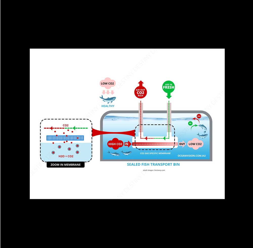 Infographic Design by DA. for this project | Design #28870592