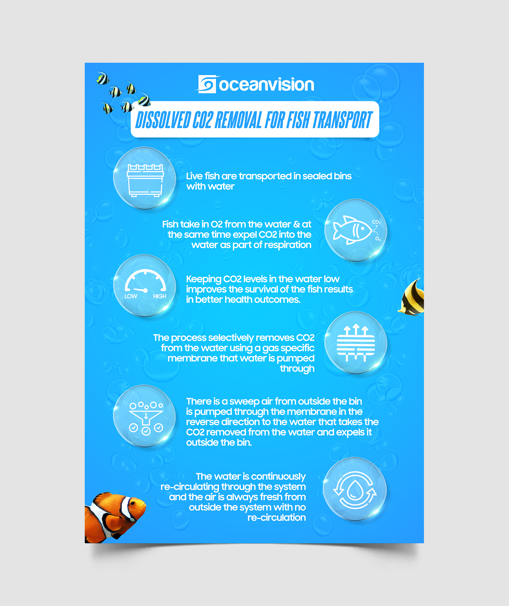 Infographic Design by Graphic Guy for this project | Design #28731670