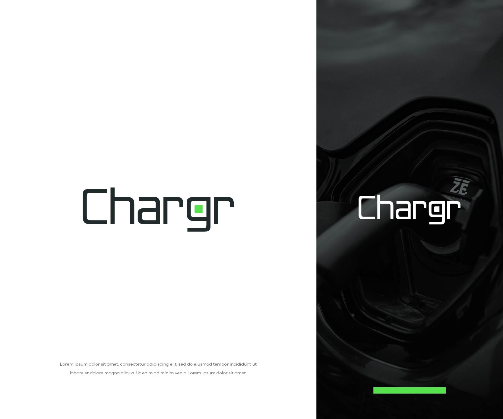 Logo Design by bestdesignzzz for this project | Design #28741993