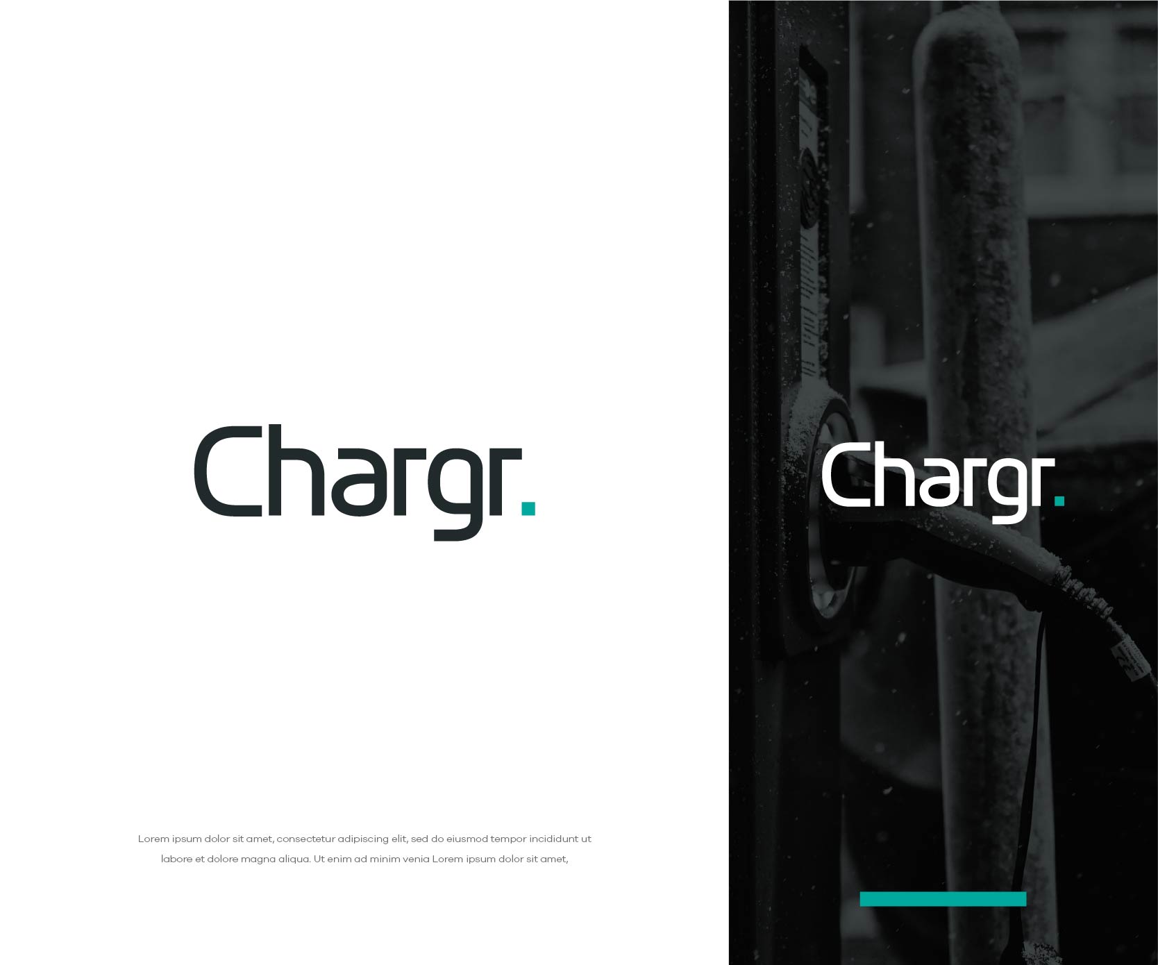 Logo Design by bestdesignzzz for this project | Design #28741995