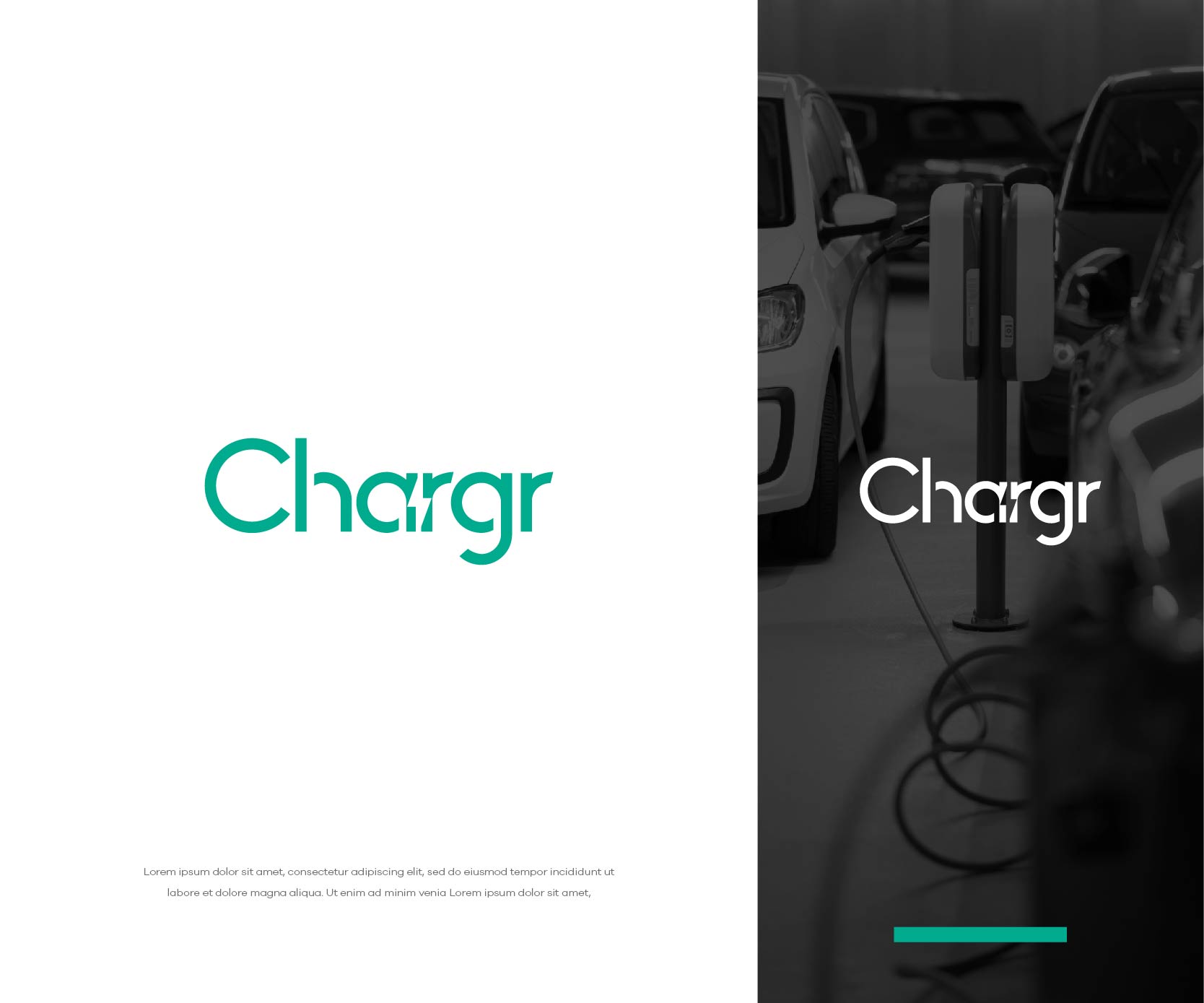 Logo Design by bestdesignzzz for this project | Design #28741996