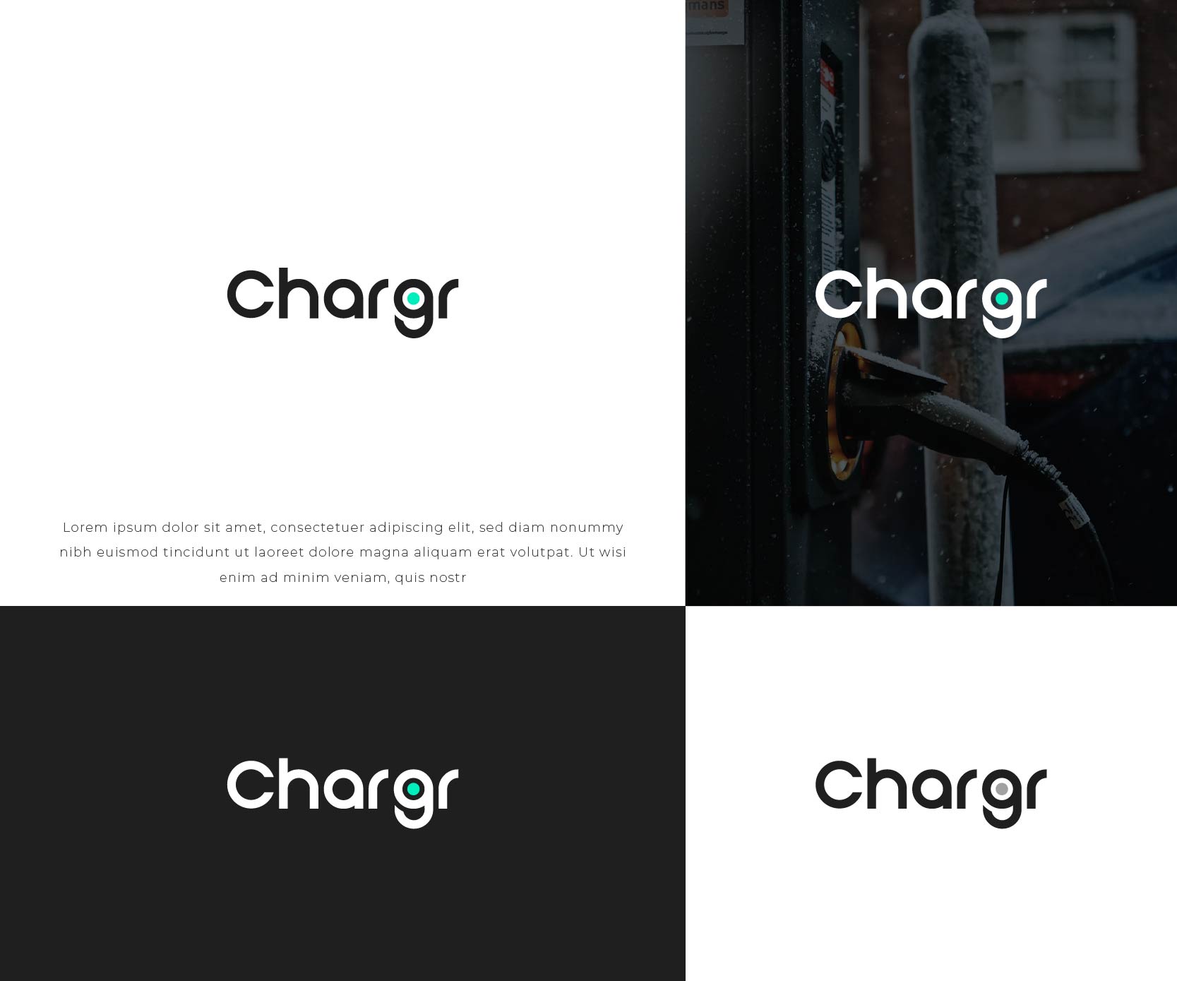 Logo Design by bestdesignzzz for this project | Design #28754991