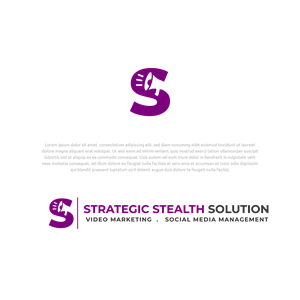 Strategic Stealth Solutions.com .  Under domain URL enter  Tag line - Video Marketing  *  Social Media Management. Separate two taglines by spaces. | Logo Design by Abdul 20