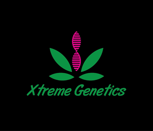 Logo Design by Filo F