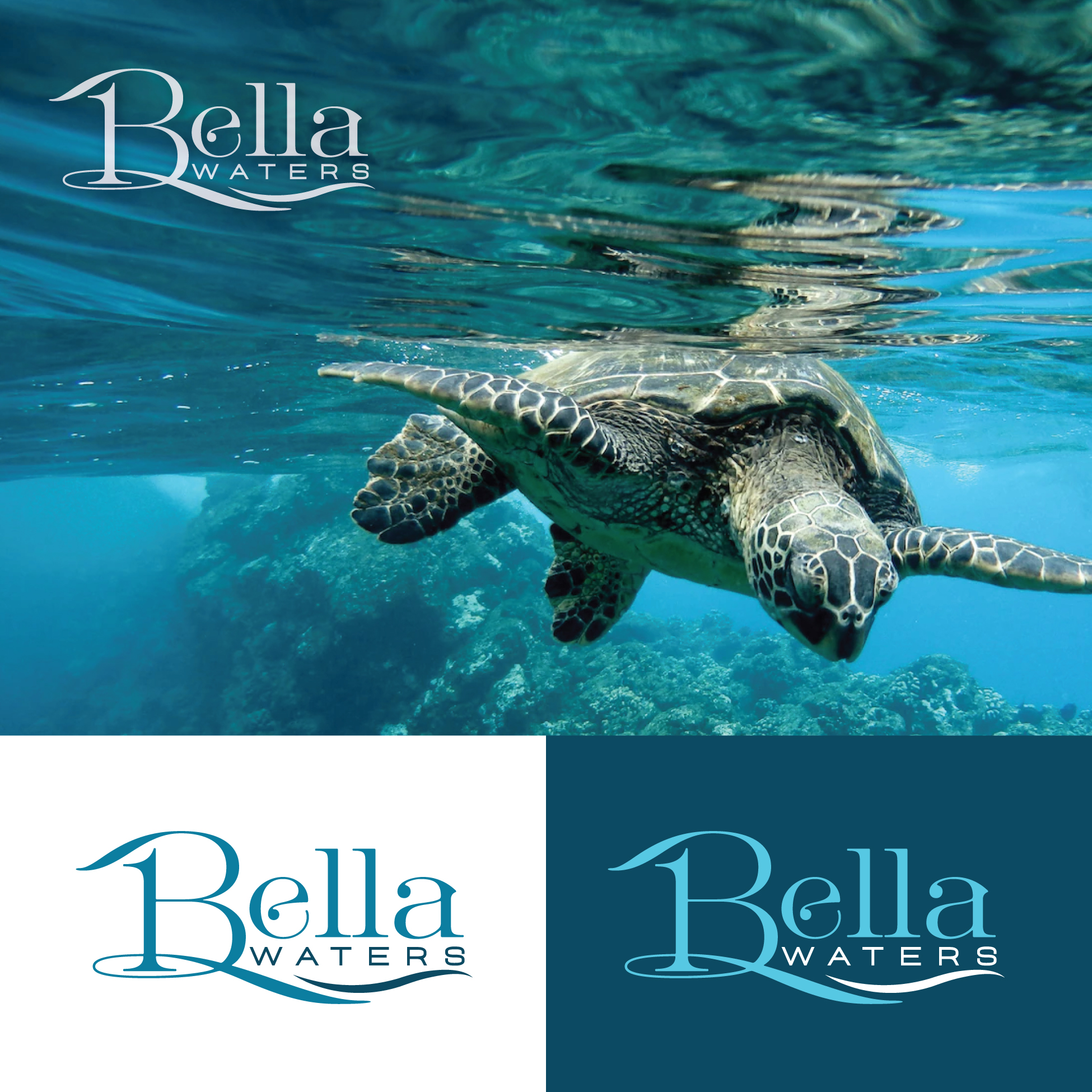 Logo Design by StromDesignHub for this project | Design #28736159