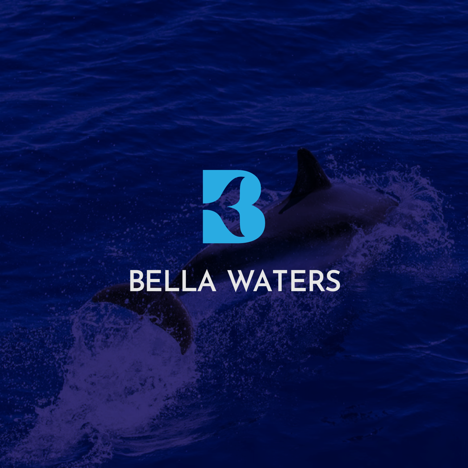 Logo Design by Abdul 20 for this project | Design #28732634