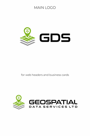 GDS  on the main logo and another with Geospatial Data Services Ltd included for web headers and business cards etc. | Logo Design by beard.art