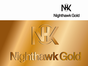 Logo Design by dnkdesign