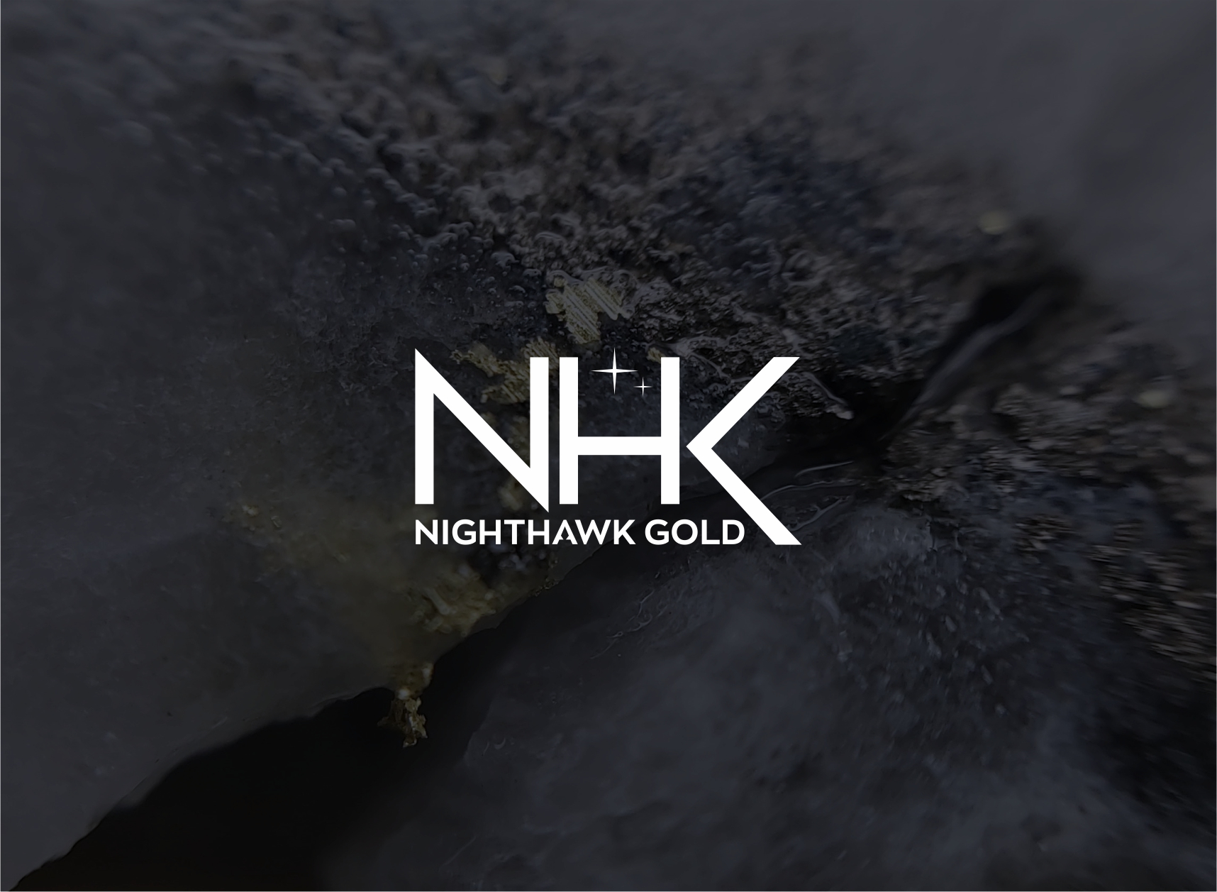 Diseño de Logo por Prakash_arts para este proyecto | Diseño #28744825