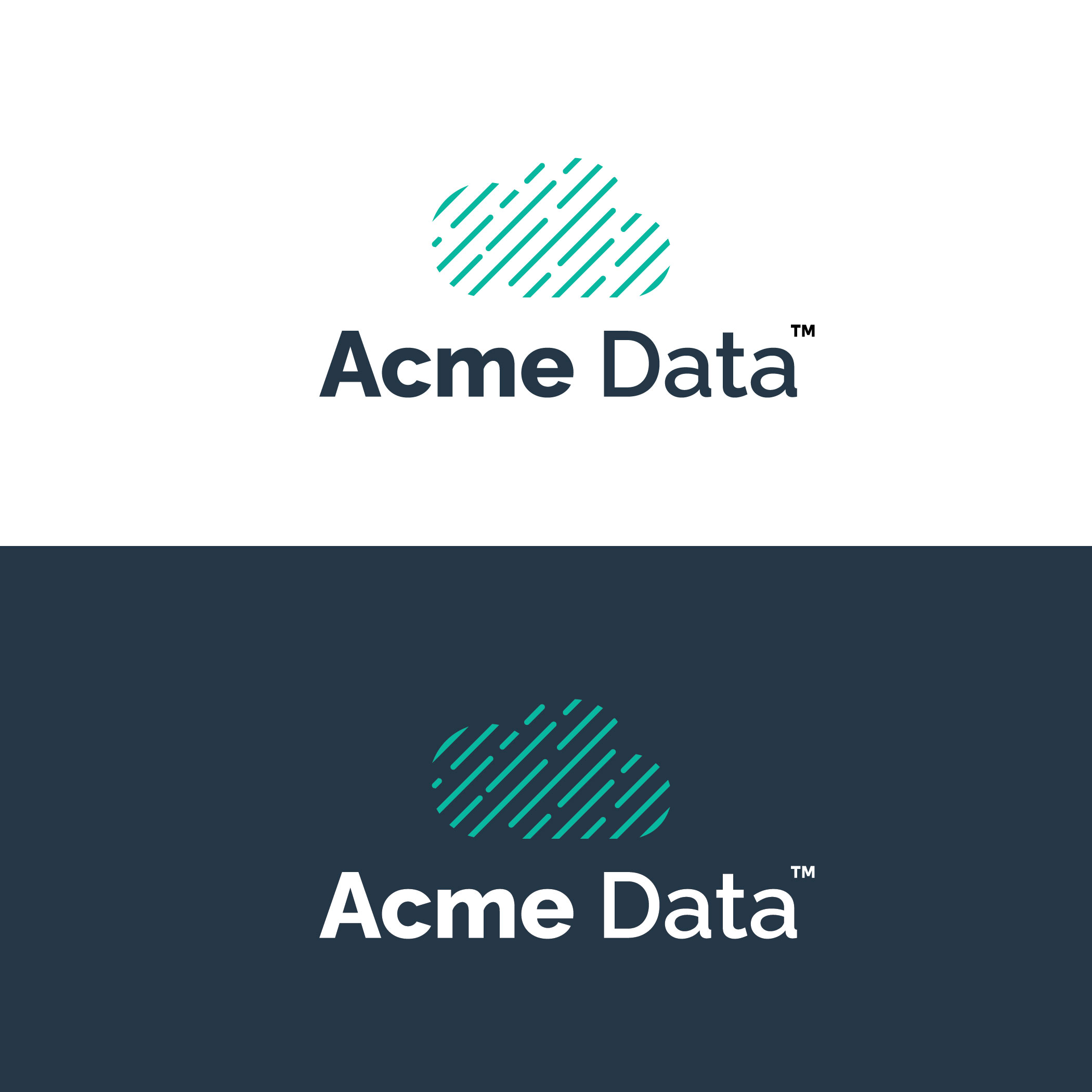 Logo Design by ILLUSTRATOR PRO for Acme Data | Design #28773785