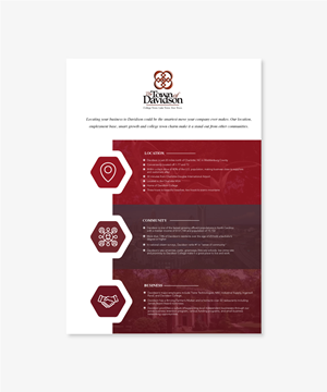 Infographic Design by lionx for this project | Design: #28764085