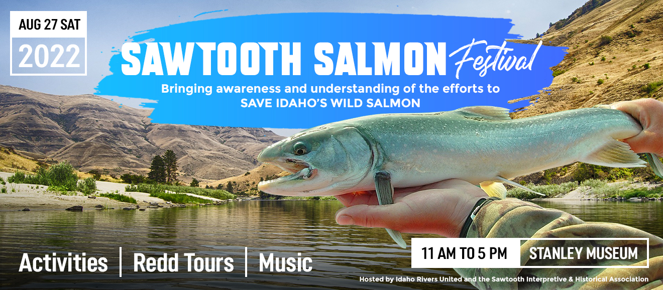 Design de Logo par aj pour Idaho Rivers United | Design #28772819