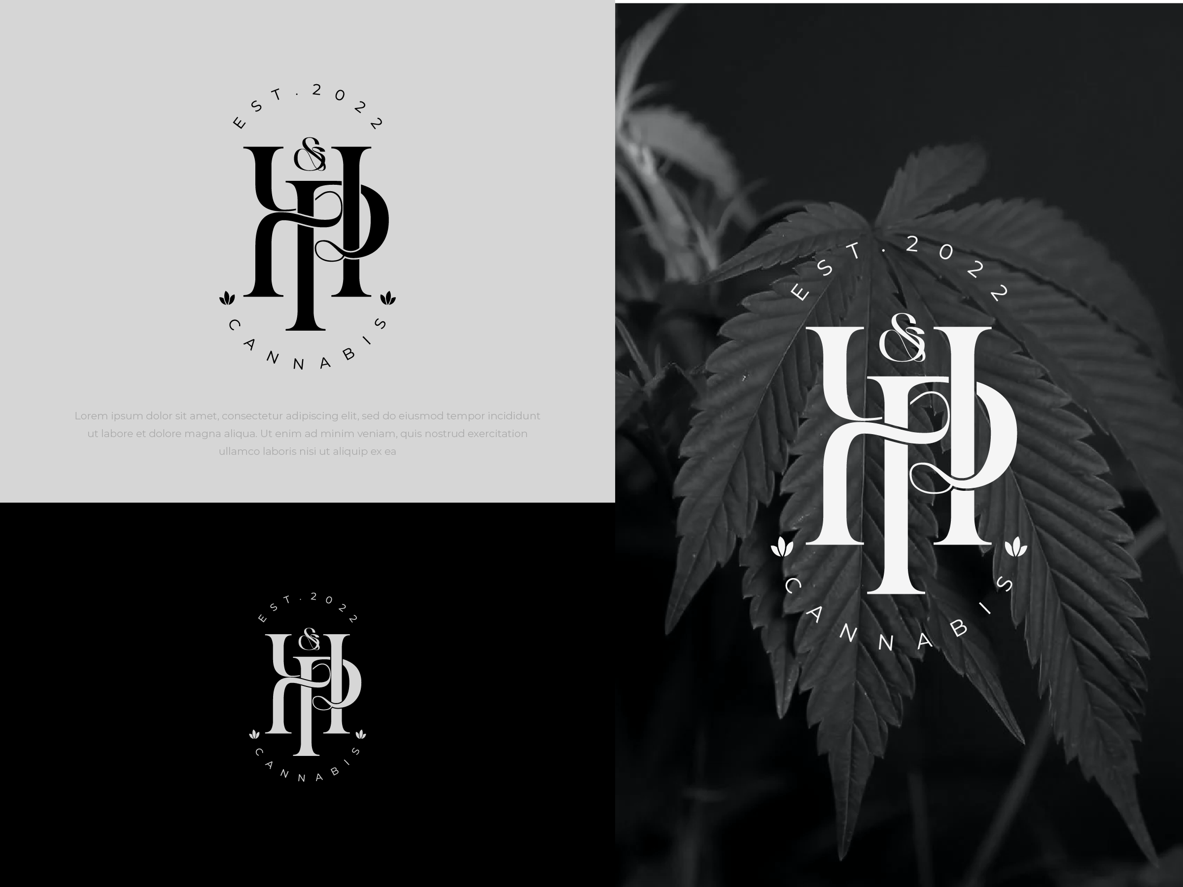Logo Design by JTdsign for this project | Design #28785918