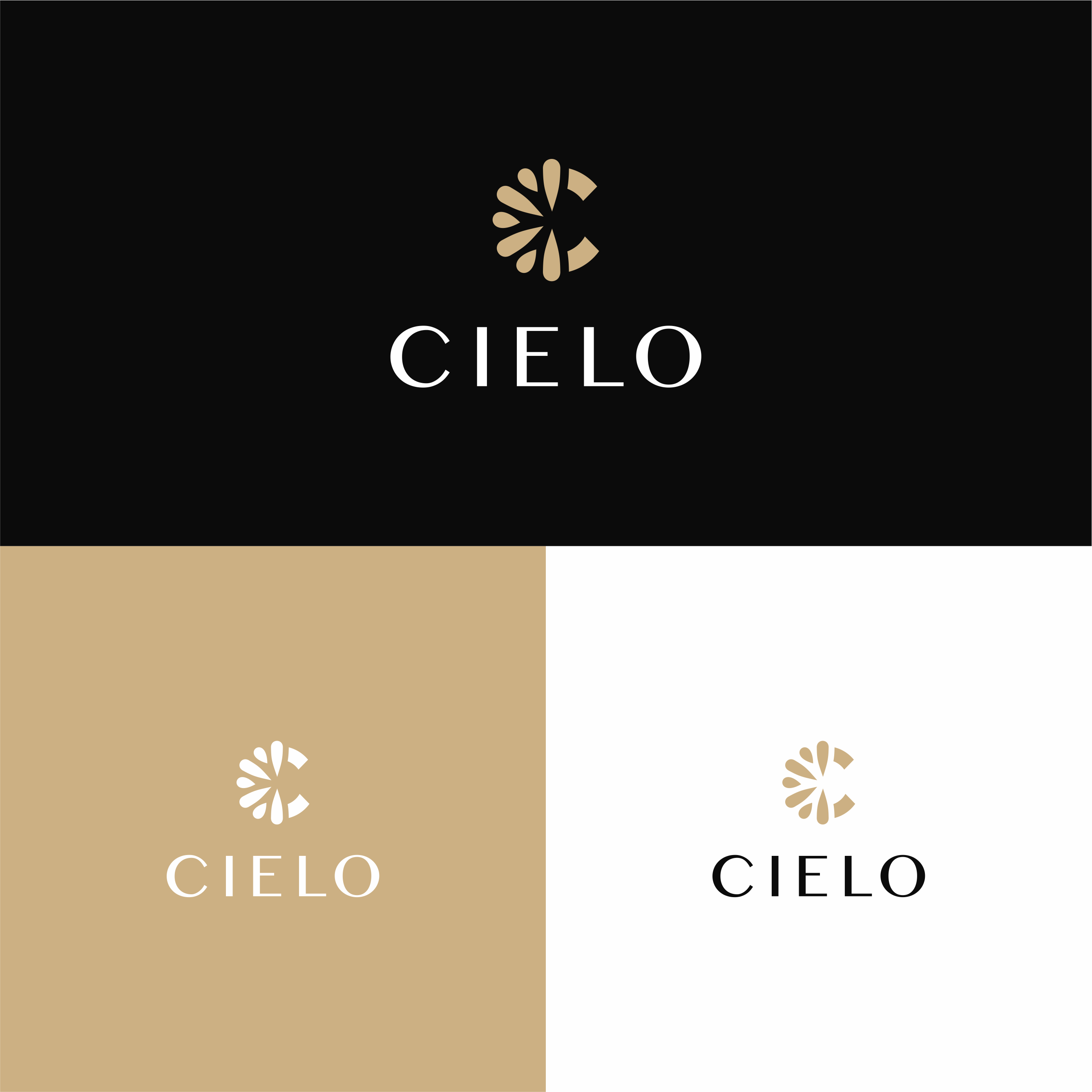 Logo Design by achil78 for this project | Design #28776389