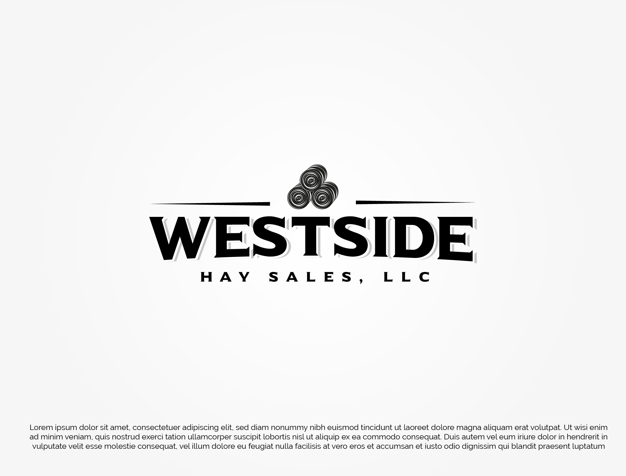 Diseño de Logo por designbelk para este proyecto | Diseño #28791943