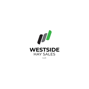 Logo Design by Jhannel55