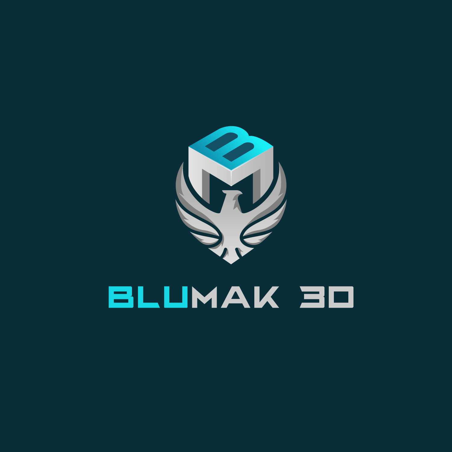 Logo Design by Abdul 20 for BluMak 3D | Design #28799331