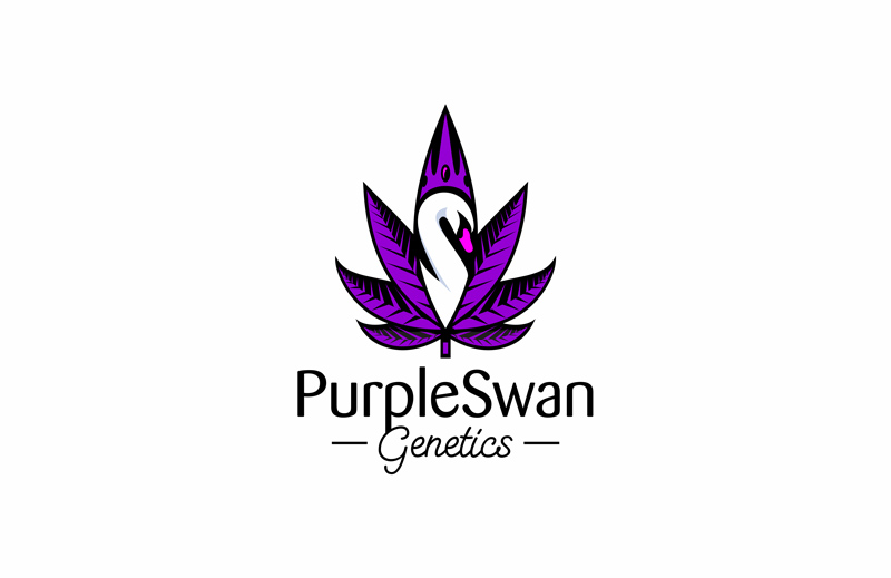 Logo Design by Creator for this project | Design #28793671