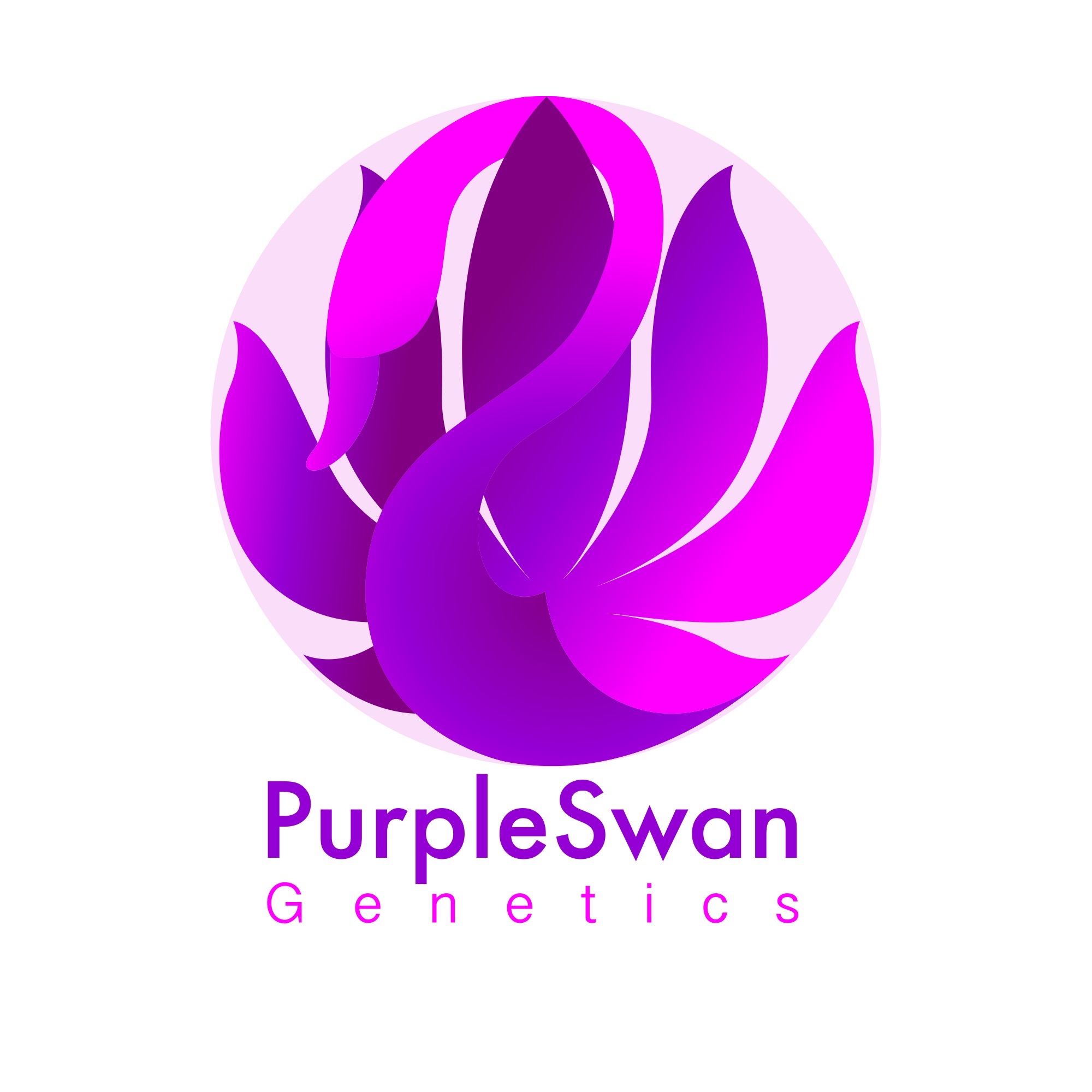 Logo Design by DevilStudio for this project | Design #28784626