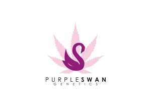 Diseño de Logo por rgrider para este proyecto | Diseño: #28785005