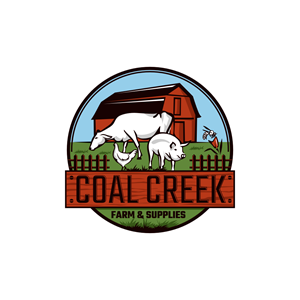 Logo Design by rgb01 for IronClad IT | Design #28850942