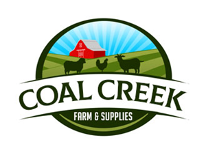 Logo Design by Champeng