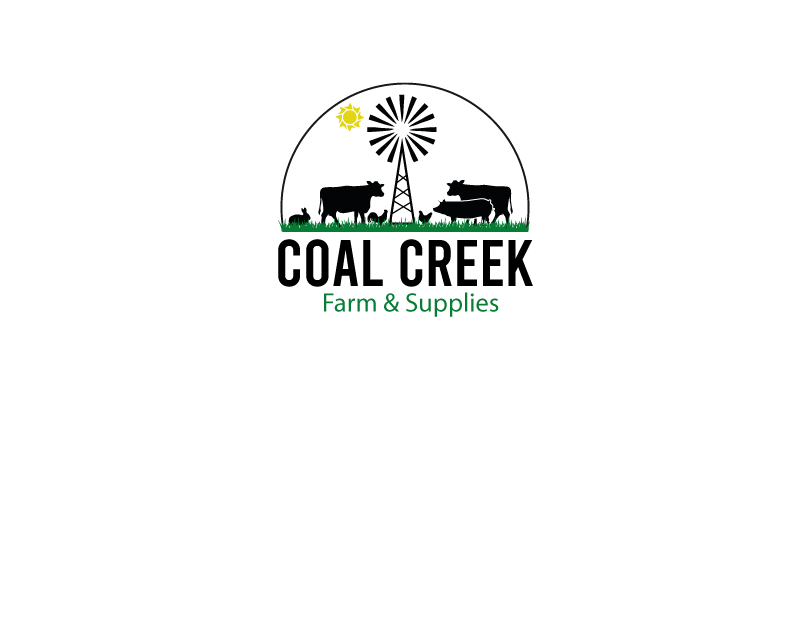 Logo Design by Bluesky68 for IronClad IT | Design #28838961