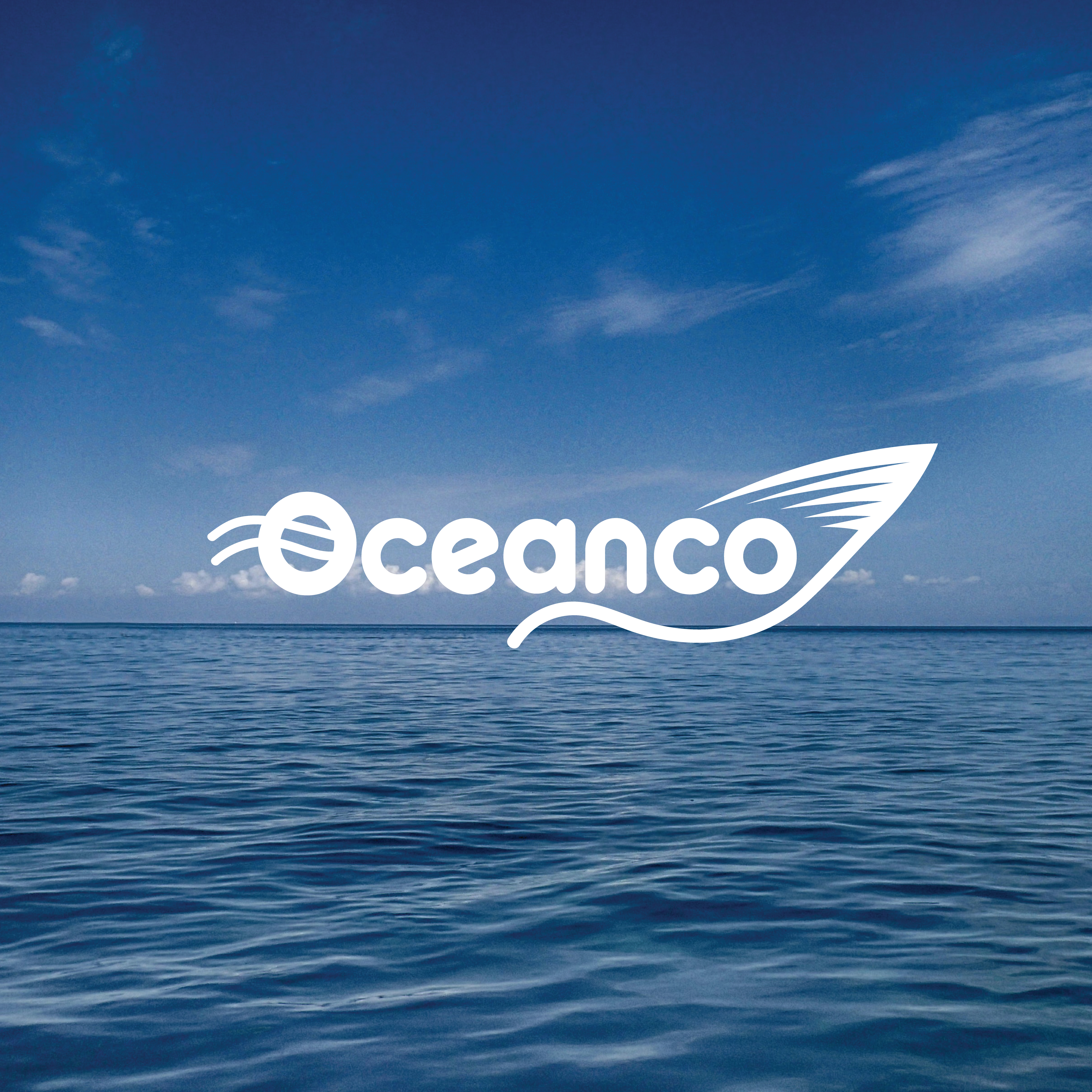 Logo Design by Stellahk for Hemisphere Marine | Design #28796160