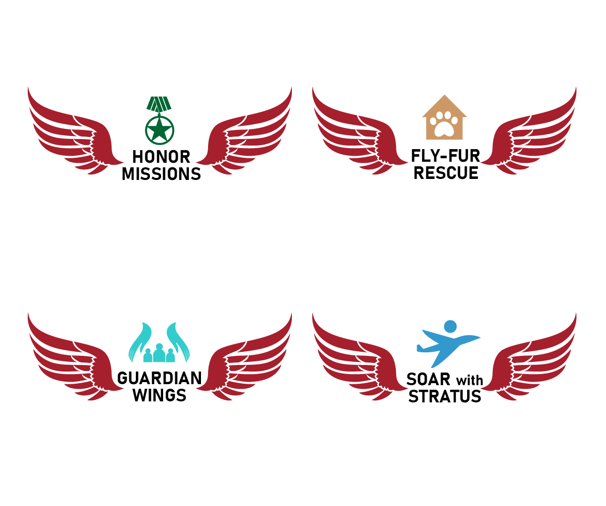 Logo Design by GliderGraphx for Brandywine Aviation & Maintenance | Design #28801403