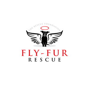 multiple things. Please see the services page I have uploaded | Logo Design by logoQ