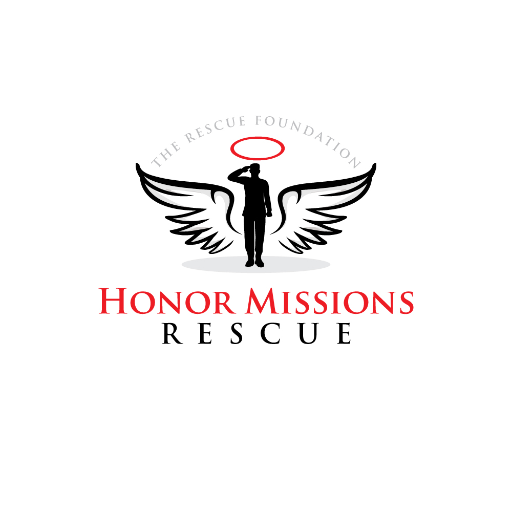 Logo Design by logoQ for Brandywine Aviation & Maintenance | Design #28802737
