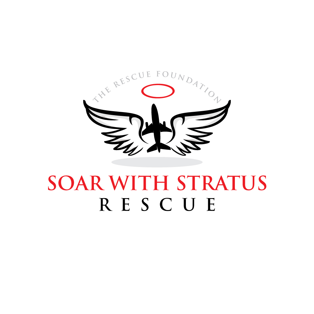 Logo Design by logoQ for Brandywine Aviation & Maintenance | Design #28802738