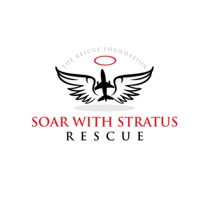 Logo Design by logoQ for Brandywine Aviation & Maintenance | Design: #28802738