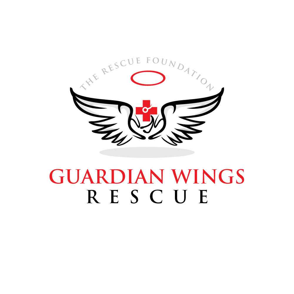 Logo Design by logoQ for Brandywine Aviation & Maintenance | Design #28802739