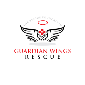 Logo Design by logoQ for Brandywine Aviation & Maintenance | Design: #28802739