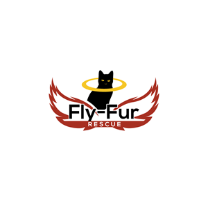 Logo Design by logoQ for Brandywine Aviation & Maintenance | Design: #28806700
