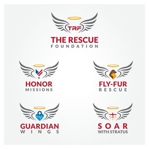 Logo Design by JWTL for Brandywine Aviation & Maintenance | Design: #28817503