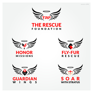 Logo Design by JWTL for Brandywine Aviation & Maintenance | Design: #28865725