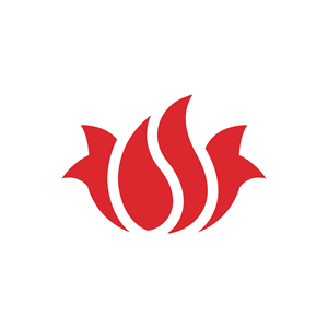 Logo Design by EvoGo Designers