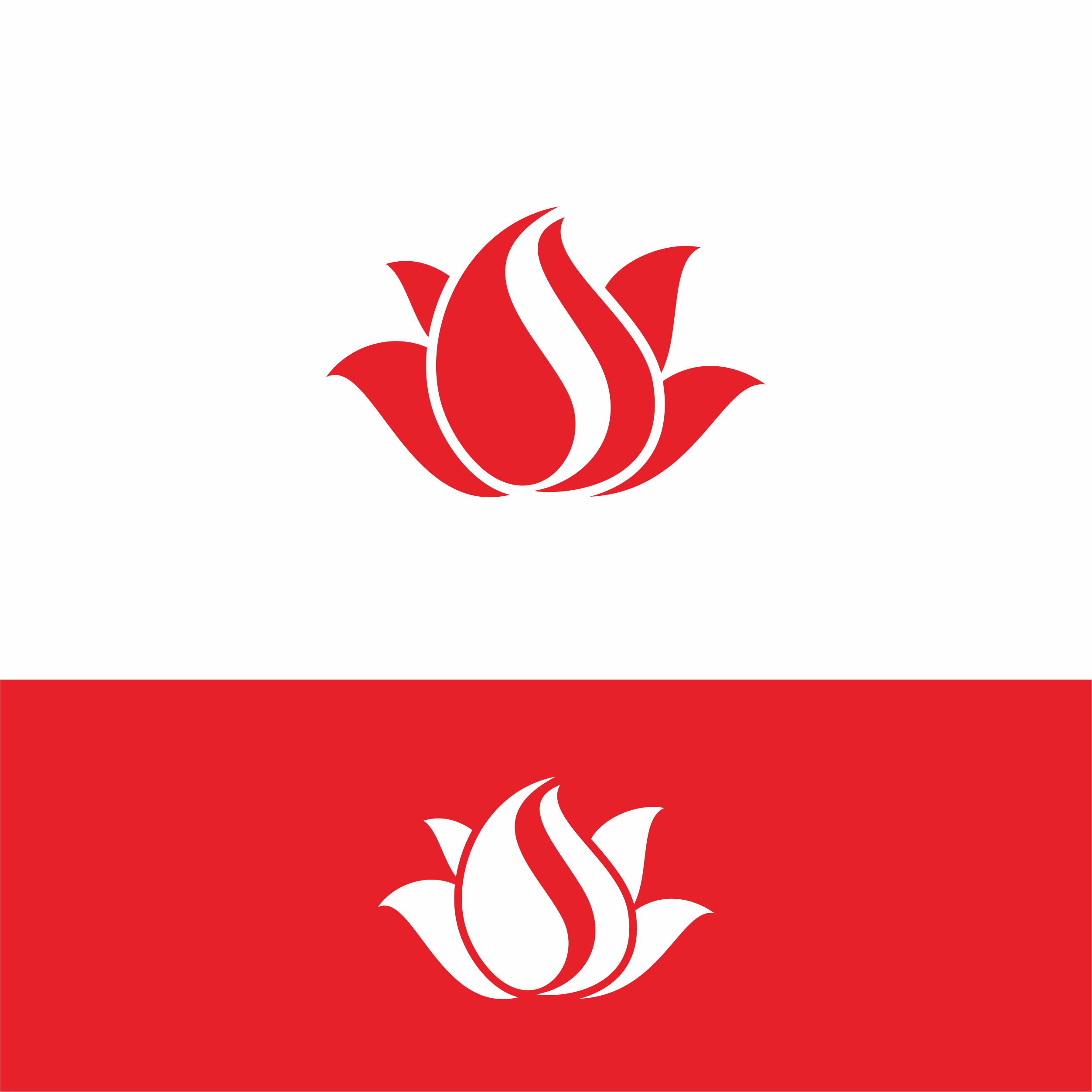 Diseño de Logo por gheztnation para este proyecto | Diseño #28834034