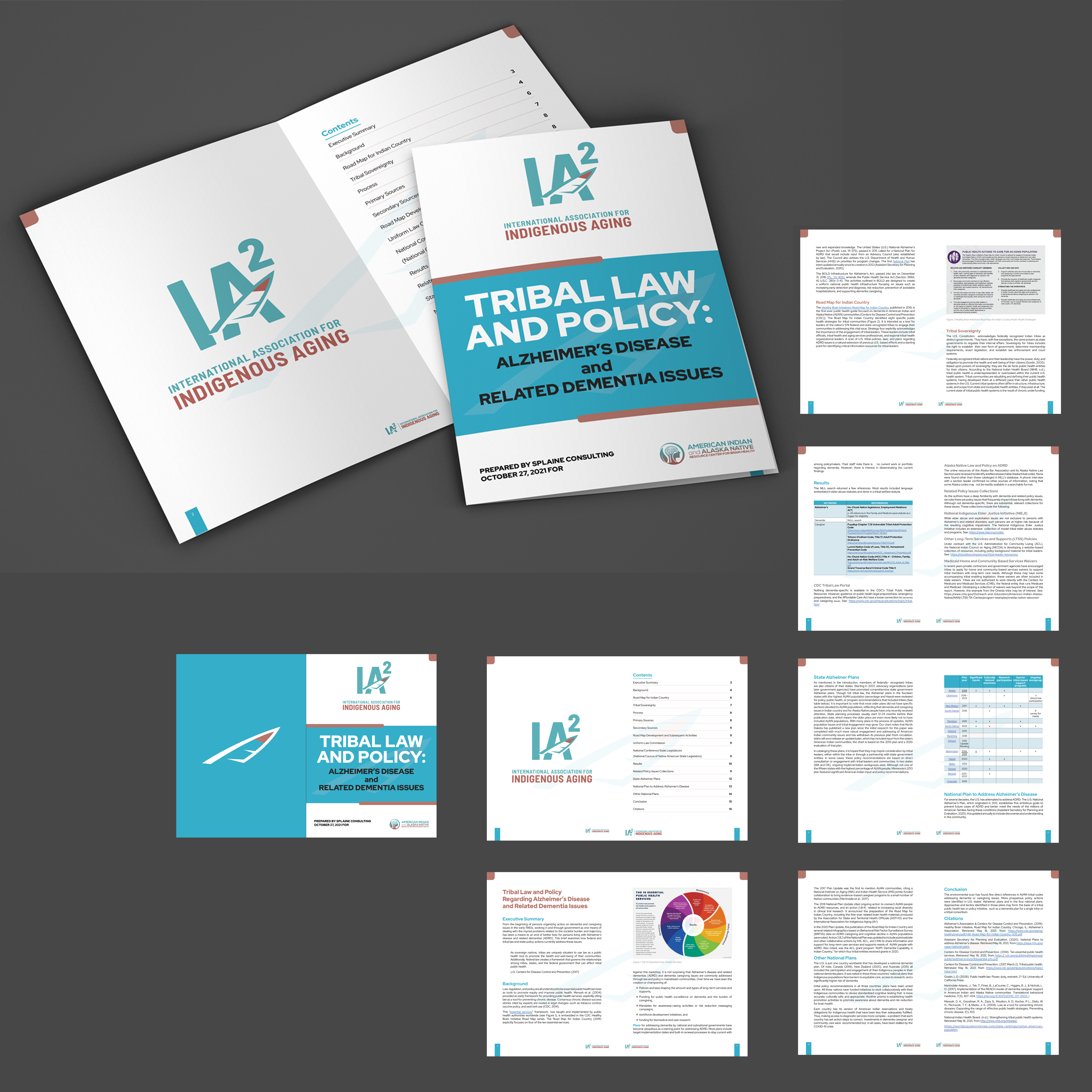 Print Design by sriguru.srinu for International Association for Indigenous Aging | Design #28822322