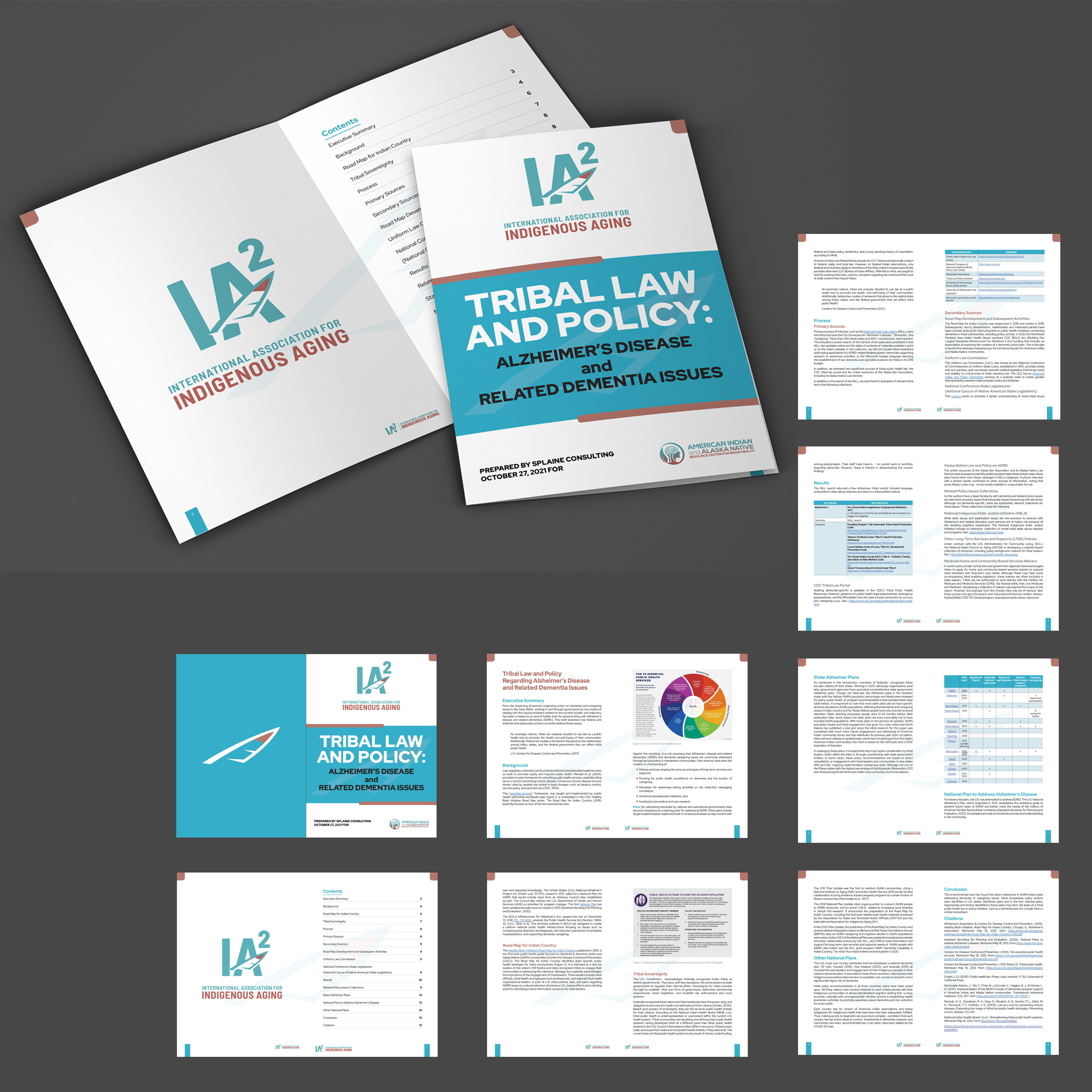 Print Design by sriguru.srinu for International Association for Indigenous Aging | Design #28822382
