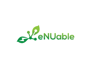 eNUable or eNUABLE | Logo Design by adnan001 2