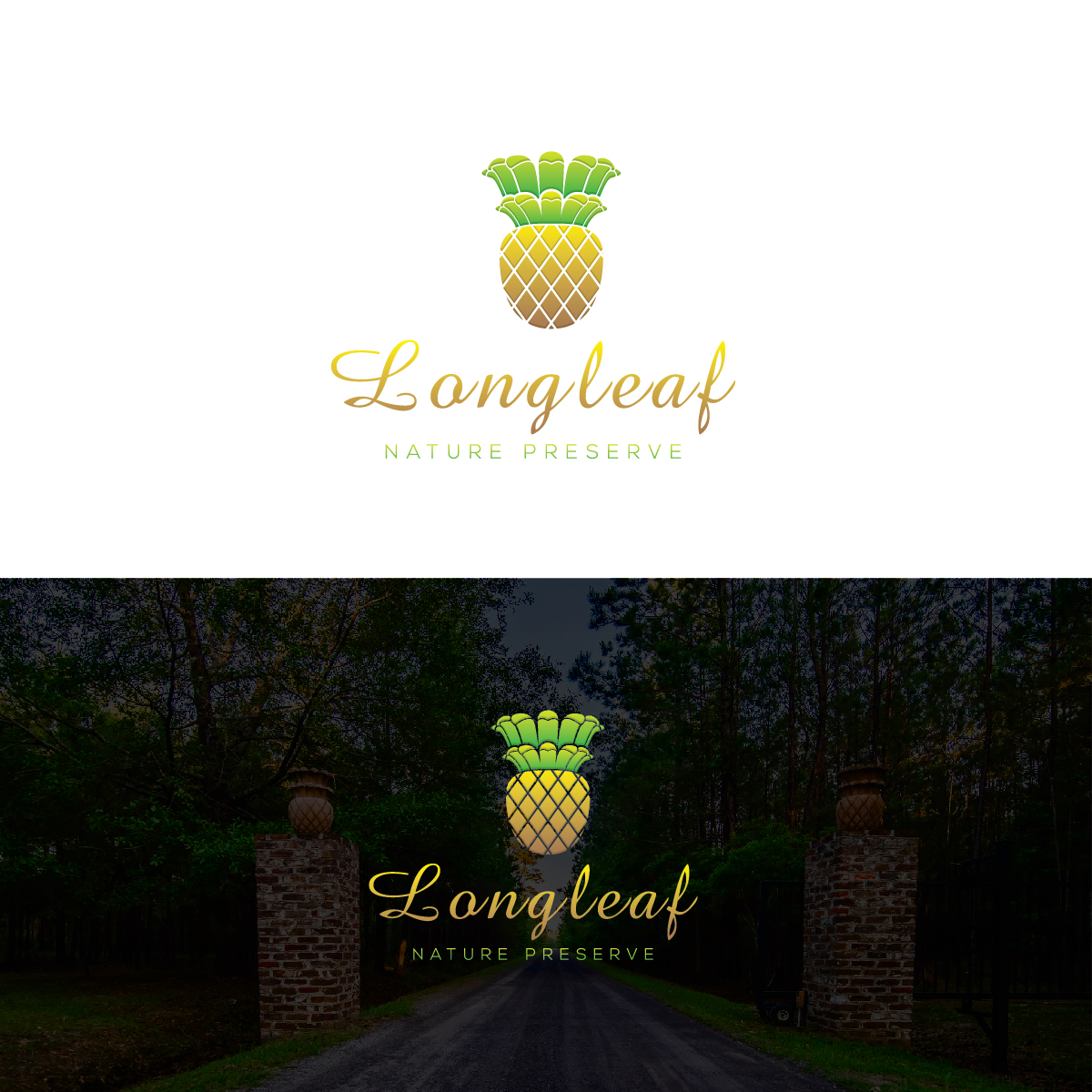 Logo Design by Deziners Zone for this project | Design #28813924
