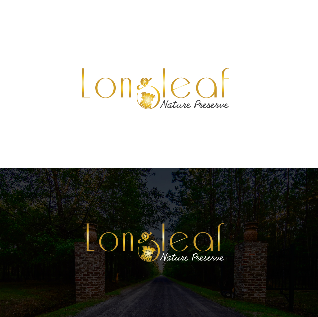 Logo Design by Deziners Zone for this project | Design #28813928