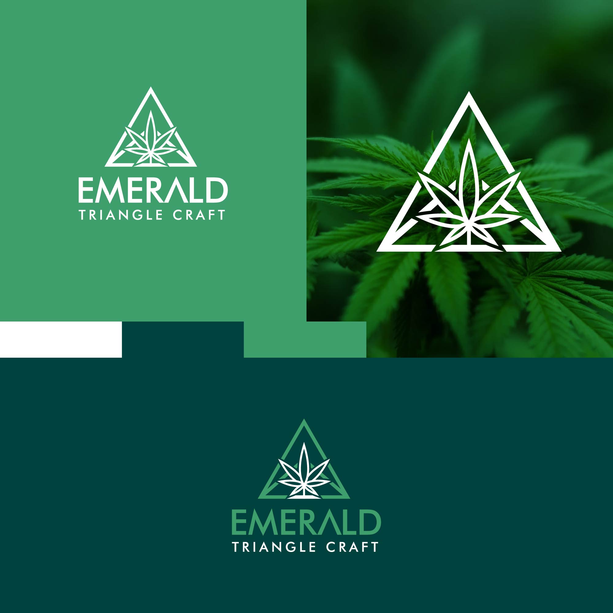 Logo Design by kaushal 05 for this project | Design #28812257