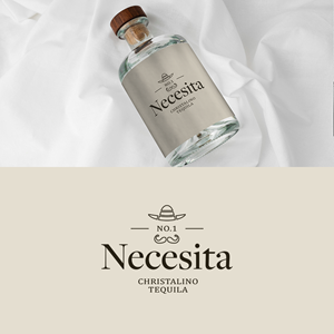 Logo Design by designLS