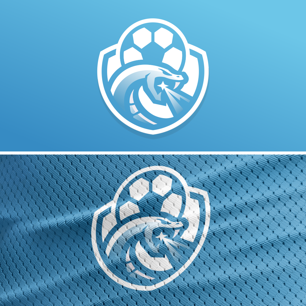 Logo Design by Aezakmi for this project | Design #28868565